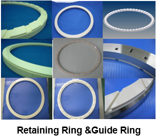 Retaining Ring &Guide Ring